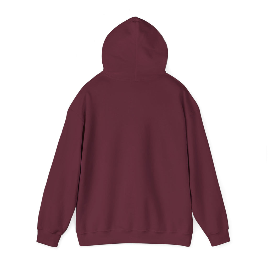I Trust My Journey Hoodie | Inspirational Sunset Silhouette Women