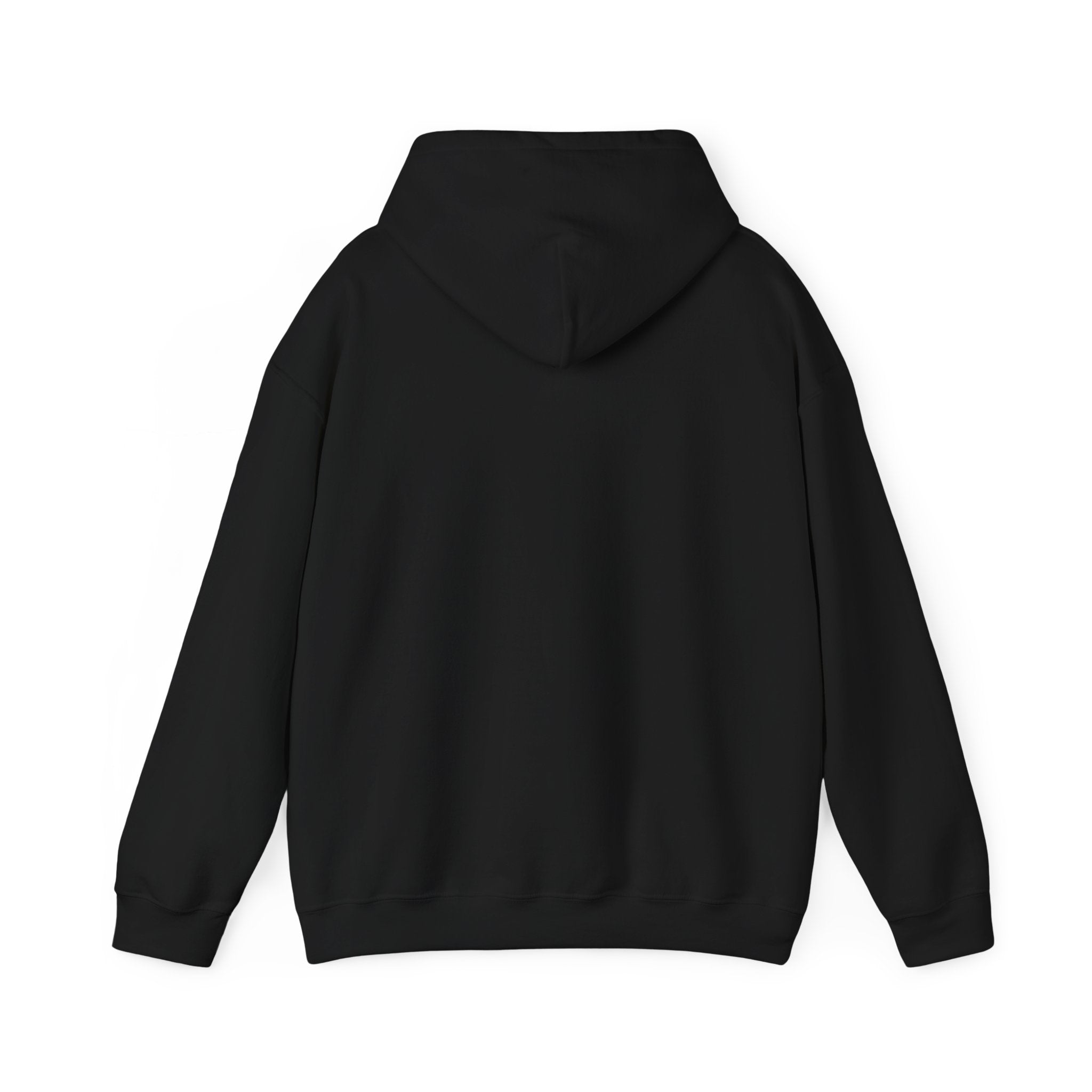 I Trust My Journey Hoodie | Inspirational Sunset Silhouette Women